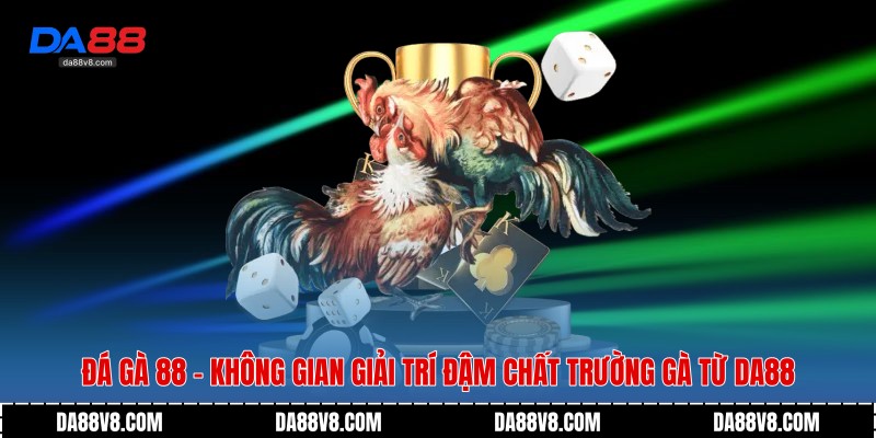 Đá Gà 88 - Không Gian Giải Trí Đậm Chất Trường Gà Từ Da88 1 Đá gà 88