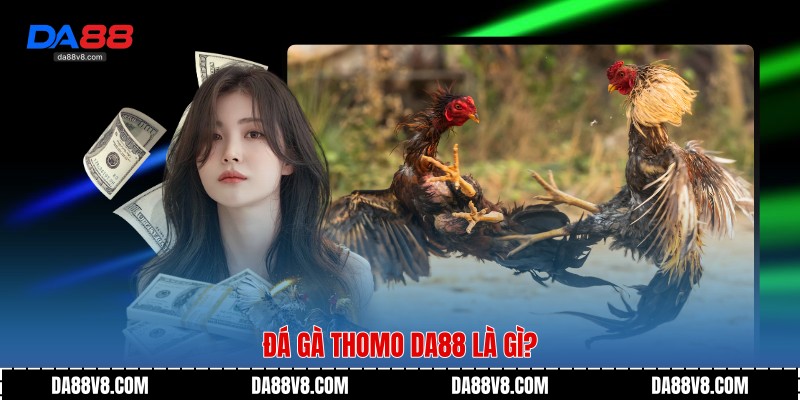 Đá Gà Thomo Da88 là gì?