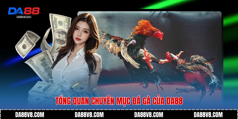 tong quan chuyen muc da ga cua da88